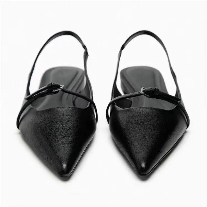 Flat Pointed Toe Shoe