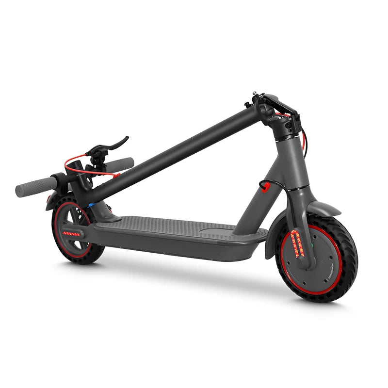 Electric Adult MAX Speed ​​25km/h